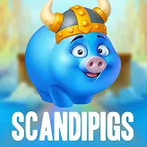 ScandiPigs - Golden Panda